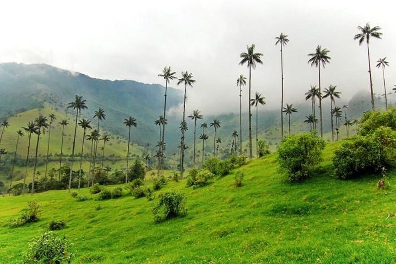 Bảo hiểm du lịch Colombia 2