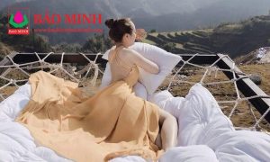 mua bao hiem du lich trong nuoc bao nhieu tien