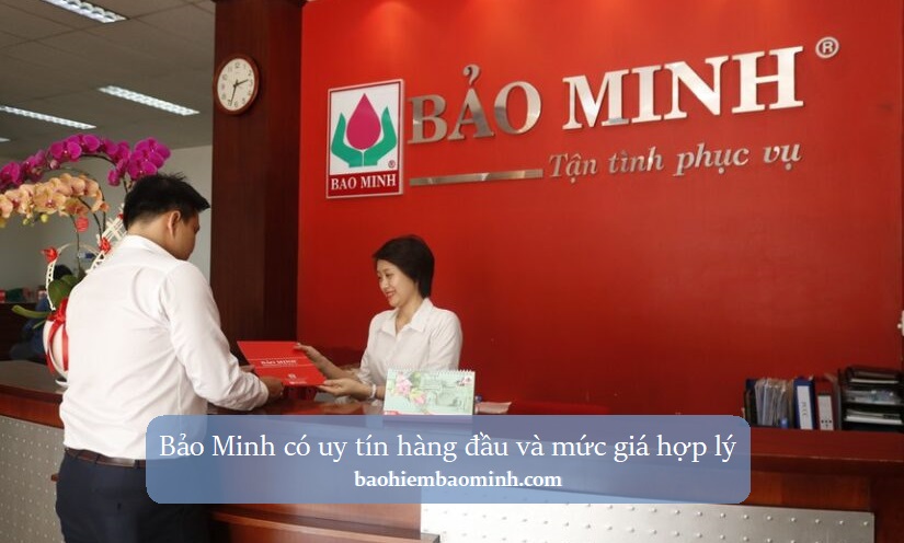 bao hiem o to bao minh uy tin an toan