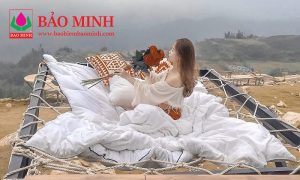 bao hiem du lich trong nuoc la gi